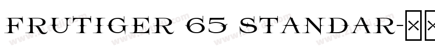 Frutiger 65 Standar字体转换